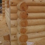 35 cm Naturstamm-Blockwand aus estnischer Kiefer