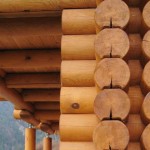 Holzhaus-Rundbohlen-Rundbalken-zweischalig-doppelwand-douround_1-11