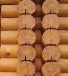 Holzhaus-Rundbohlen-Rundbalken-zweischalig-doppelwand-douround_1-11