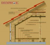 daemwool1